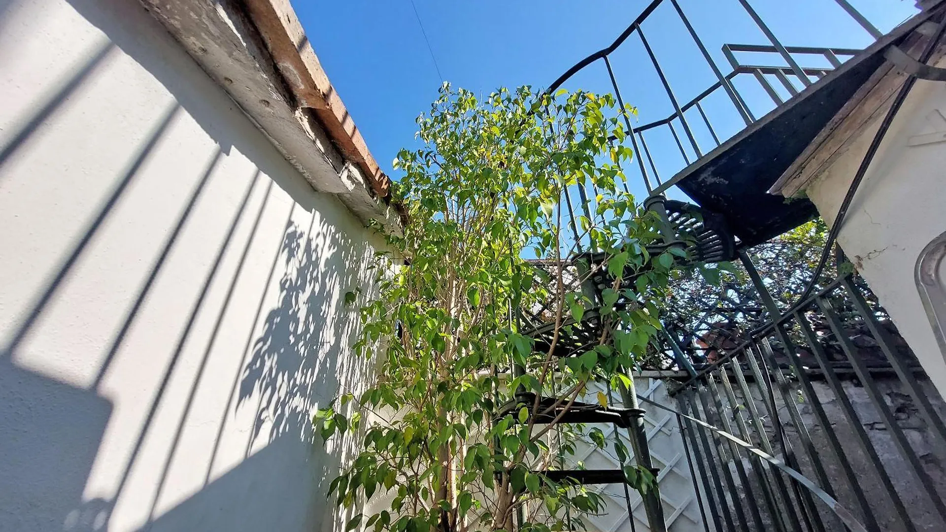 Apartment 4Bnb - Navona Rooftop Rome